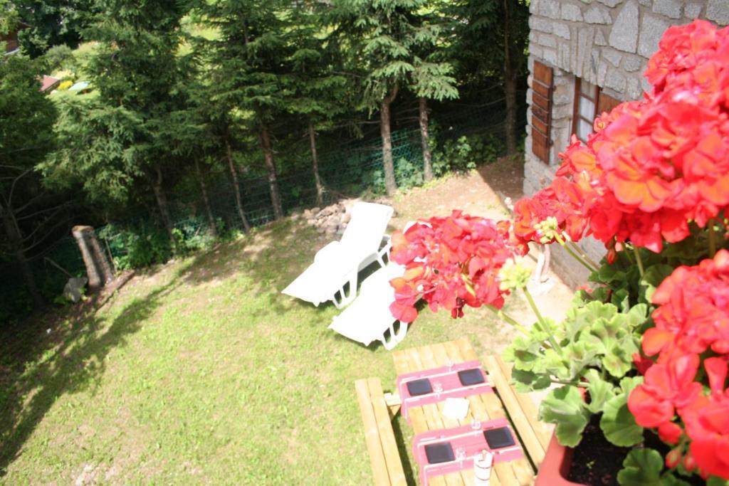 לינה וארוחת בוקר Chalet In מגב מראה חיצוני תמונה