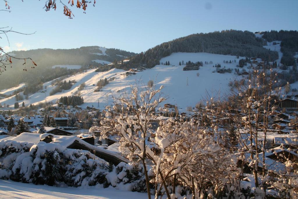 לינה וארוחת בוקר Chalet In מגב מראה חיצוני תמונה